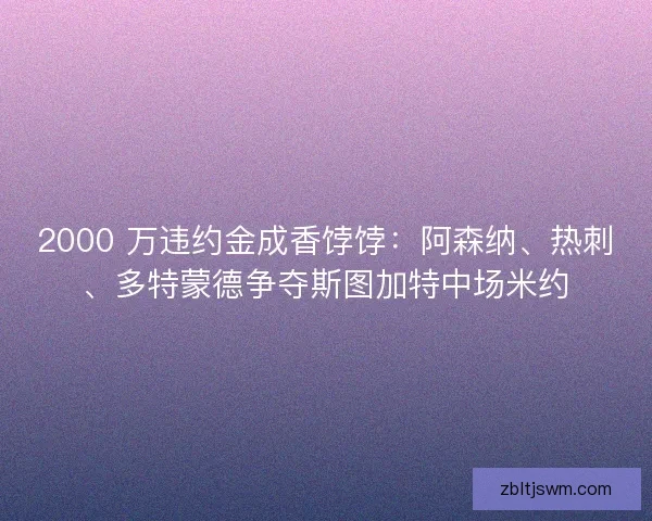 2000 万违约金成香饽饽：阿森纳、热刺、多特蒙德争夺斯图加特中场米约